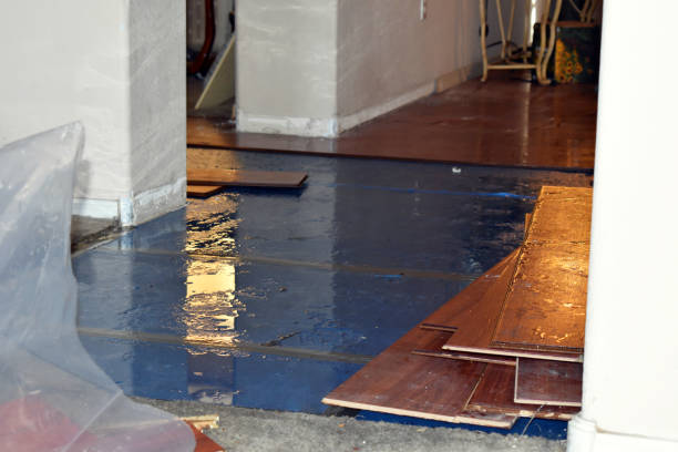 Professional Burst Pipe Cleanup technician working in Eden, TX